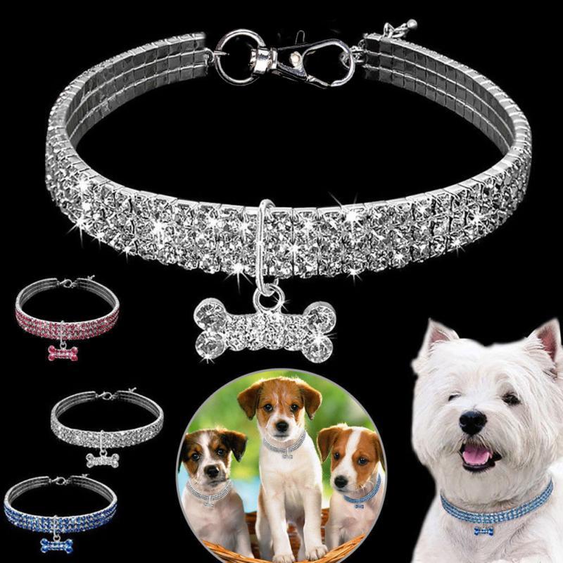 Collar de perro con cristales brillantes, correa para perros pequeños, medianos y gatos.