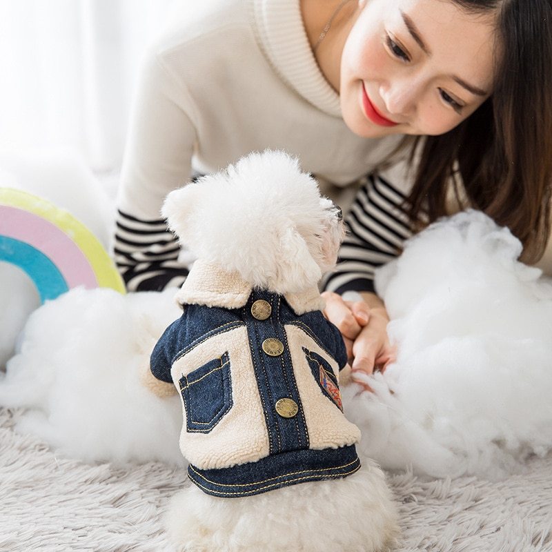 Abrigo tipo corderito para perros, Ropa gruesa y abrigada para mascotas,