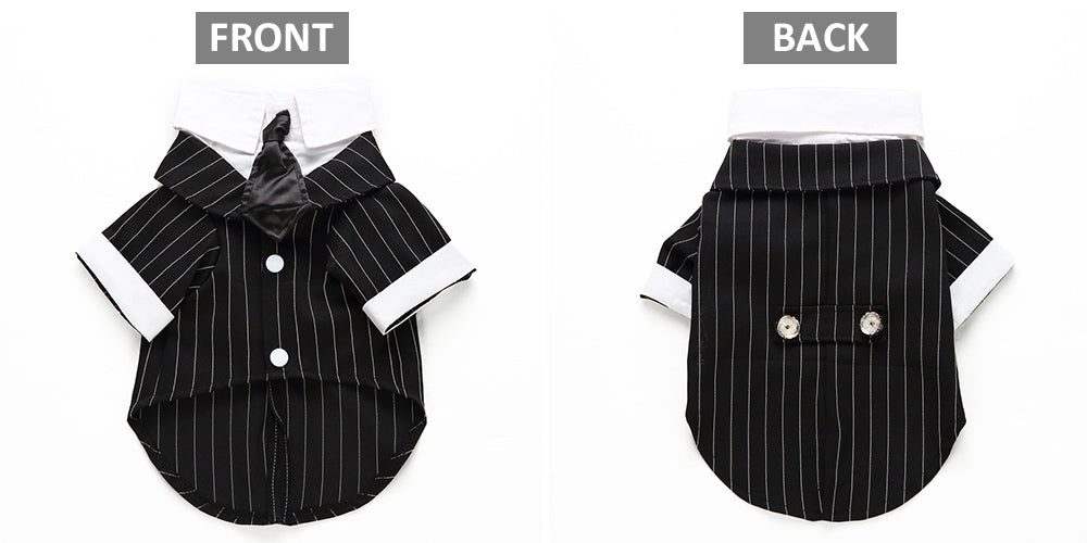 Traje para perro mascota