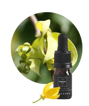 Set de Aromaterapia con Cristales – Aceites Esenciales + Cristales de Bienestar