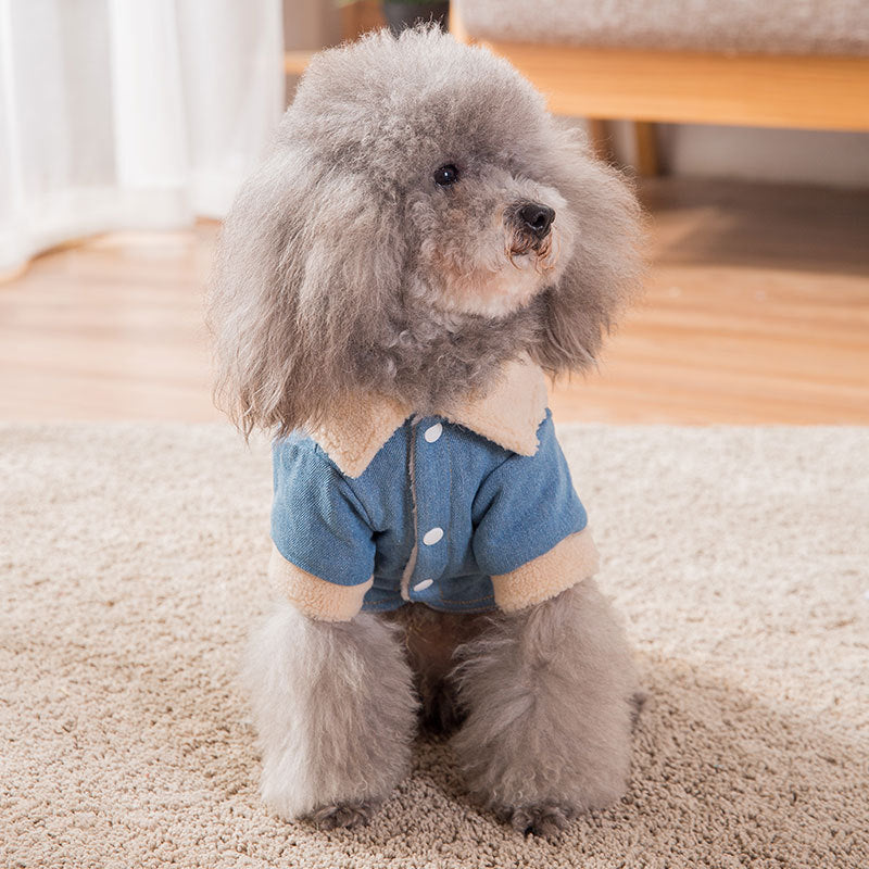 Abrigo tipo corderito para perros, Ropa gruesa y abrigada para mascotas,