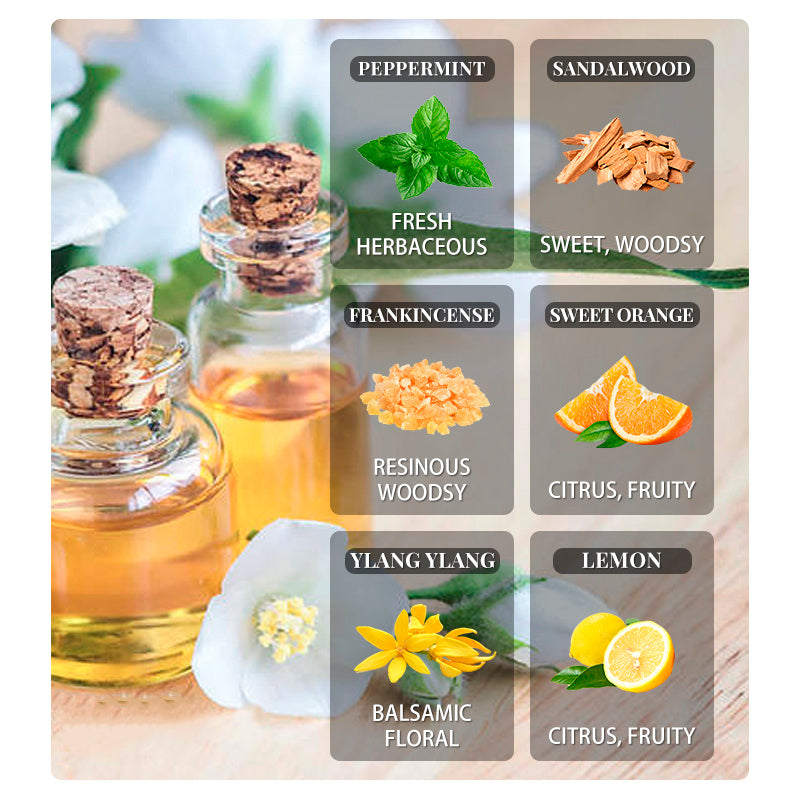 Aromaterapia en Botella | Aceite Esencial Individual 10ml — +30 Fragancias