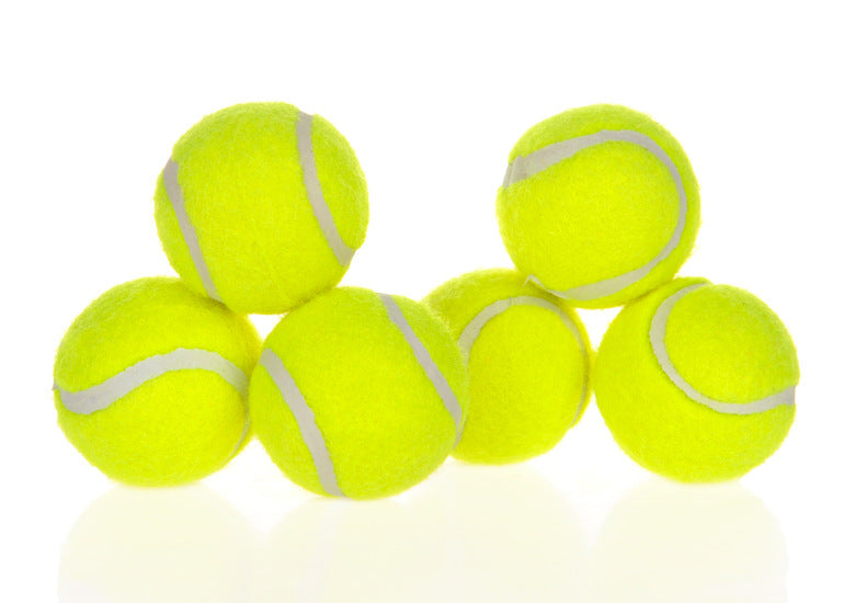 Lanzador automático de bolas para perros, juguete interactivo para ejercitar a tu perro