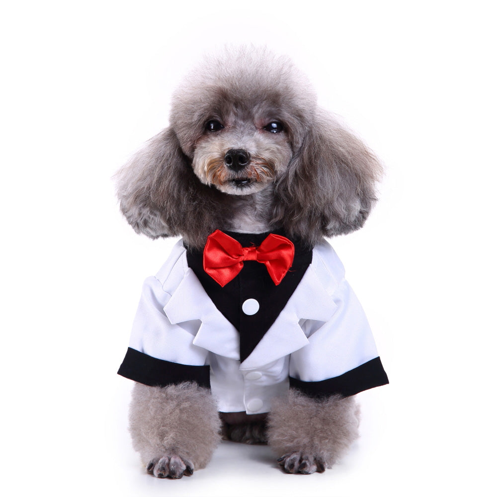 Traje para perro mascota