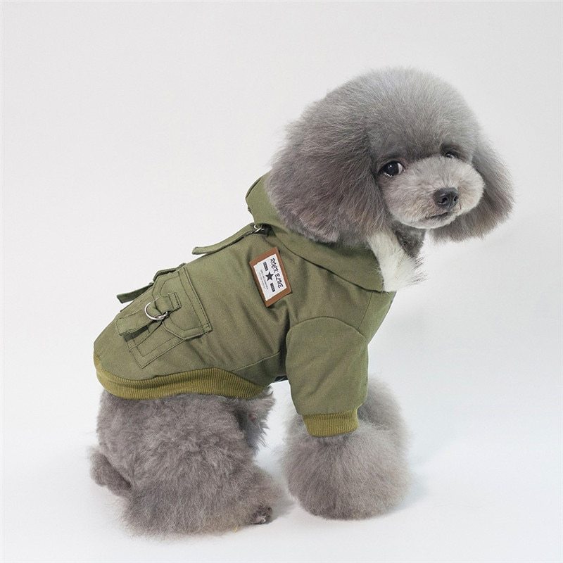 Abrigo para perro con gorra, algodón abrigado