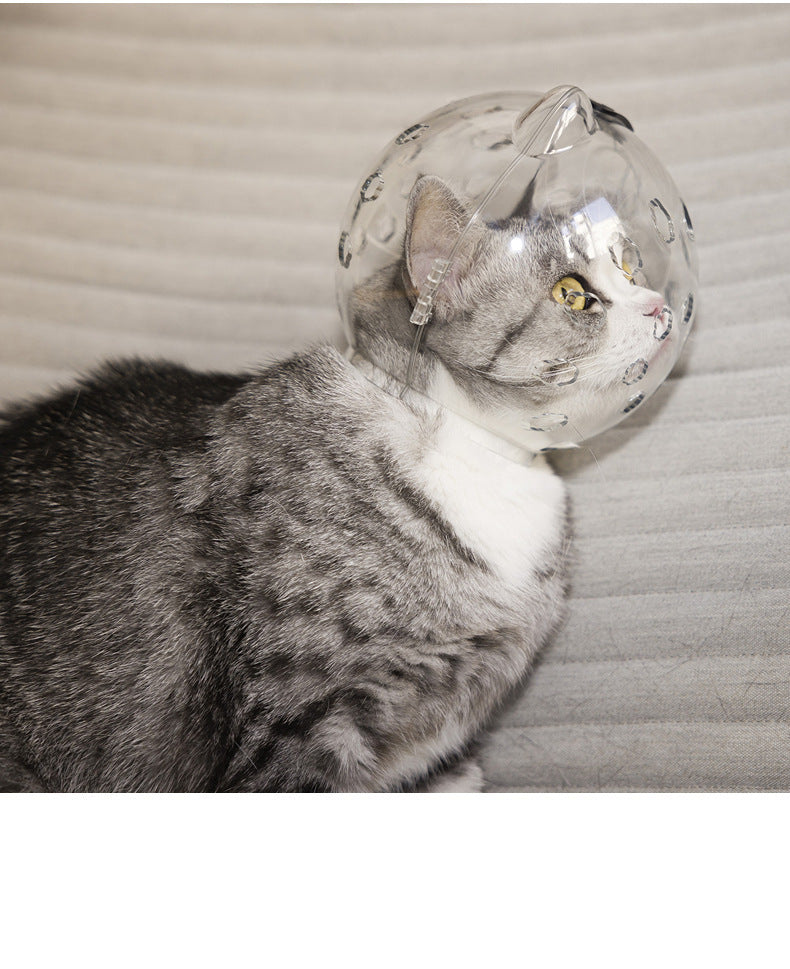 Funda para cabeza de gato, cobertura para baño, antimordeduras con collar blanco, artefacto antiarañazos y antilamidos para mascotas,
