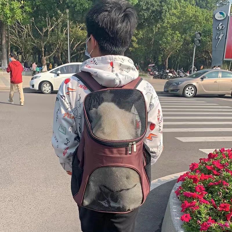 Mochila transpirable para transportar cachorros, portátil, para perros pequeños, chihuahua, schnauzer, pug