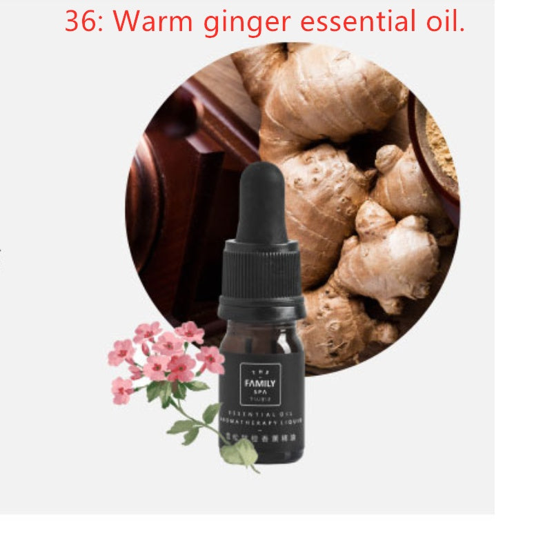 Set de Aromaterapia con Cristales – Aceites Esenciales + Cristales de Bienestar