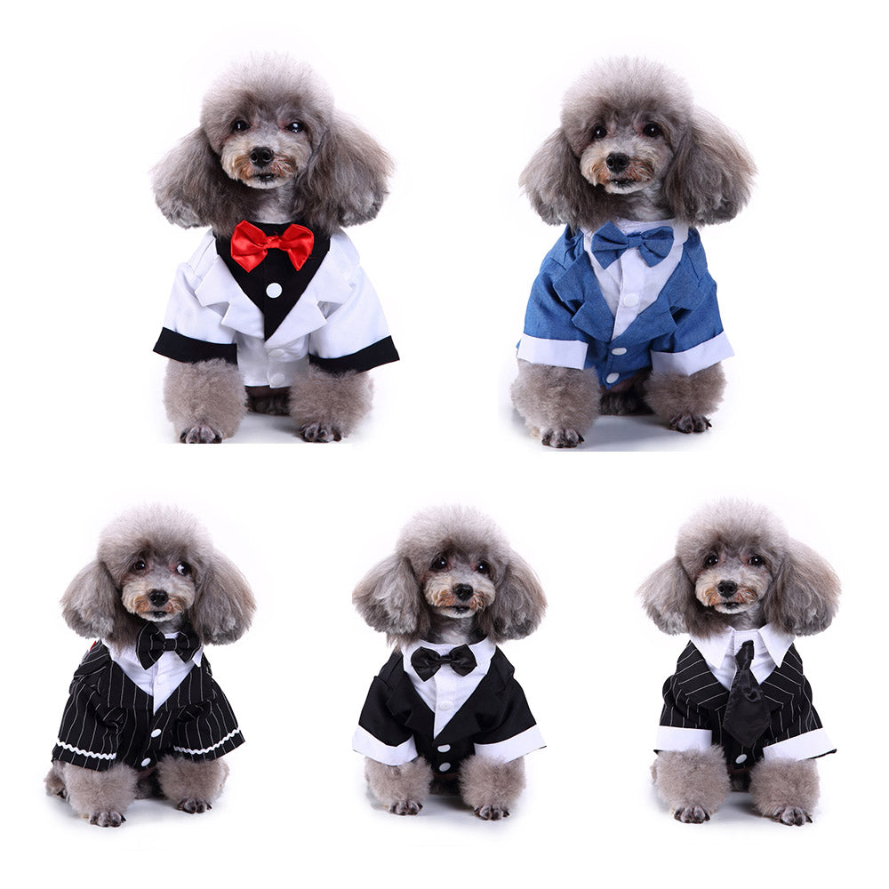 Traje para perro mascota