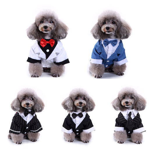 Traje para perro mascota