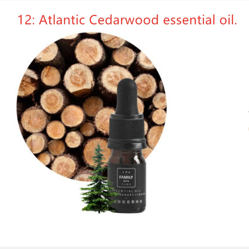 Set de Aromaterapia con Cristales – Aceites Esenciales + Cristales de Bienestar
