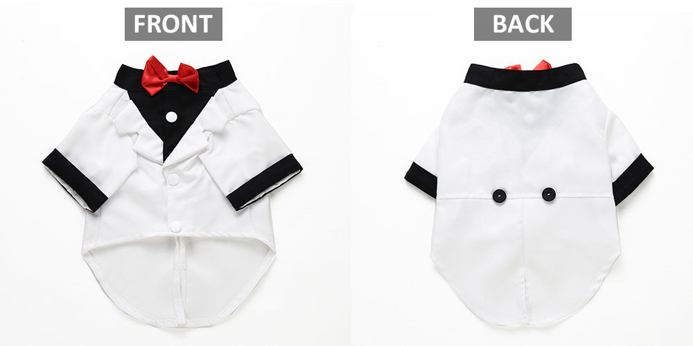 Traje para perro mascota