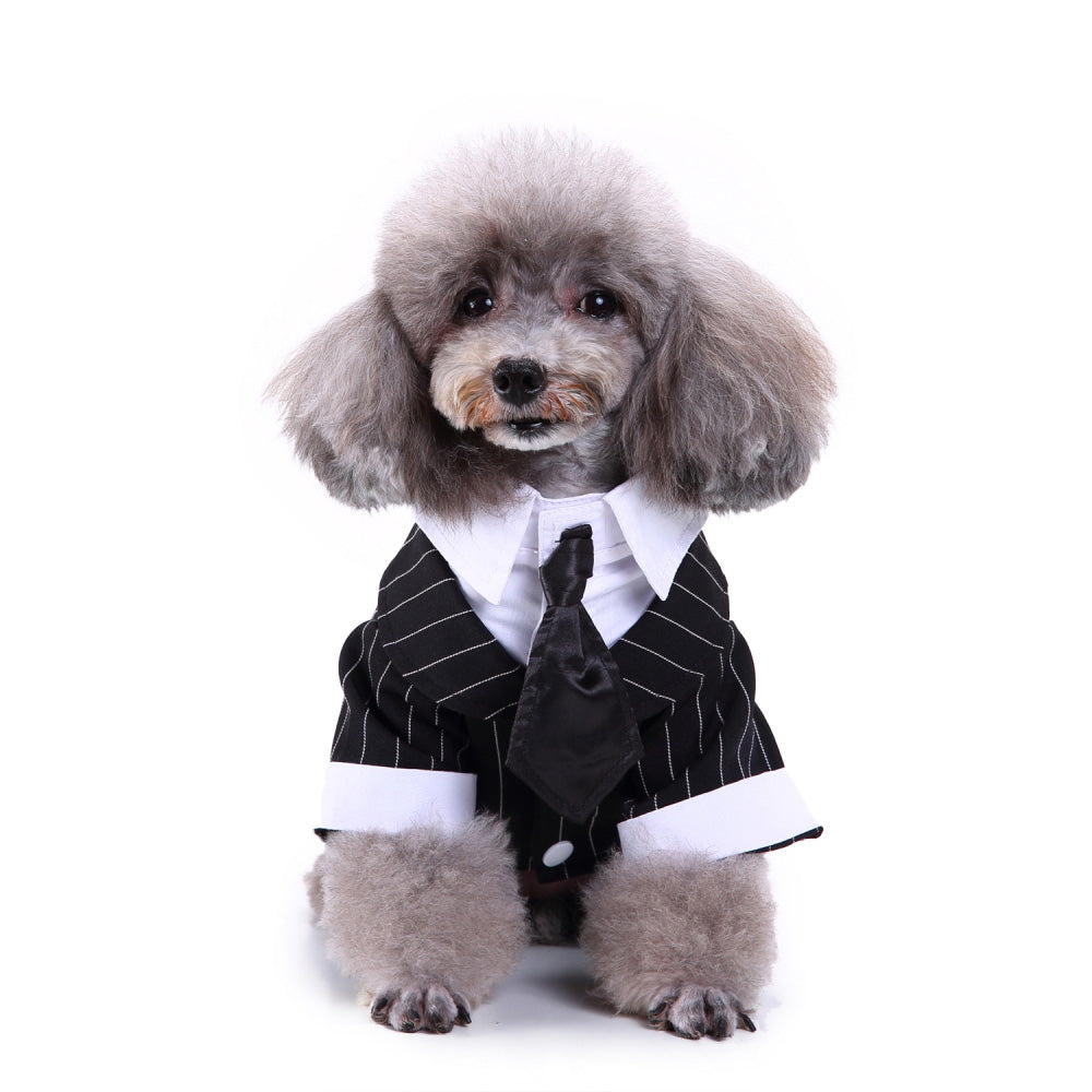 Traje para perro mascota