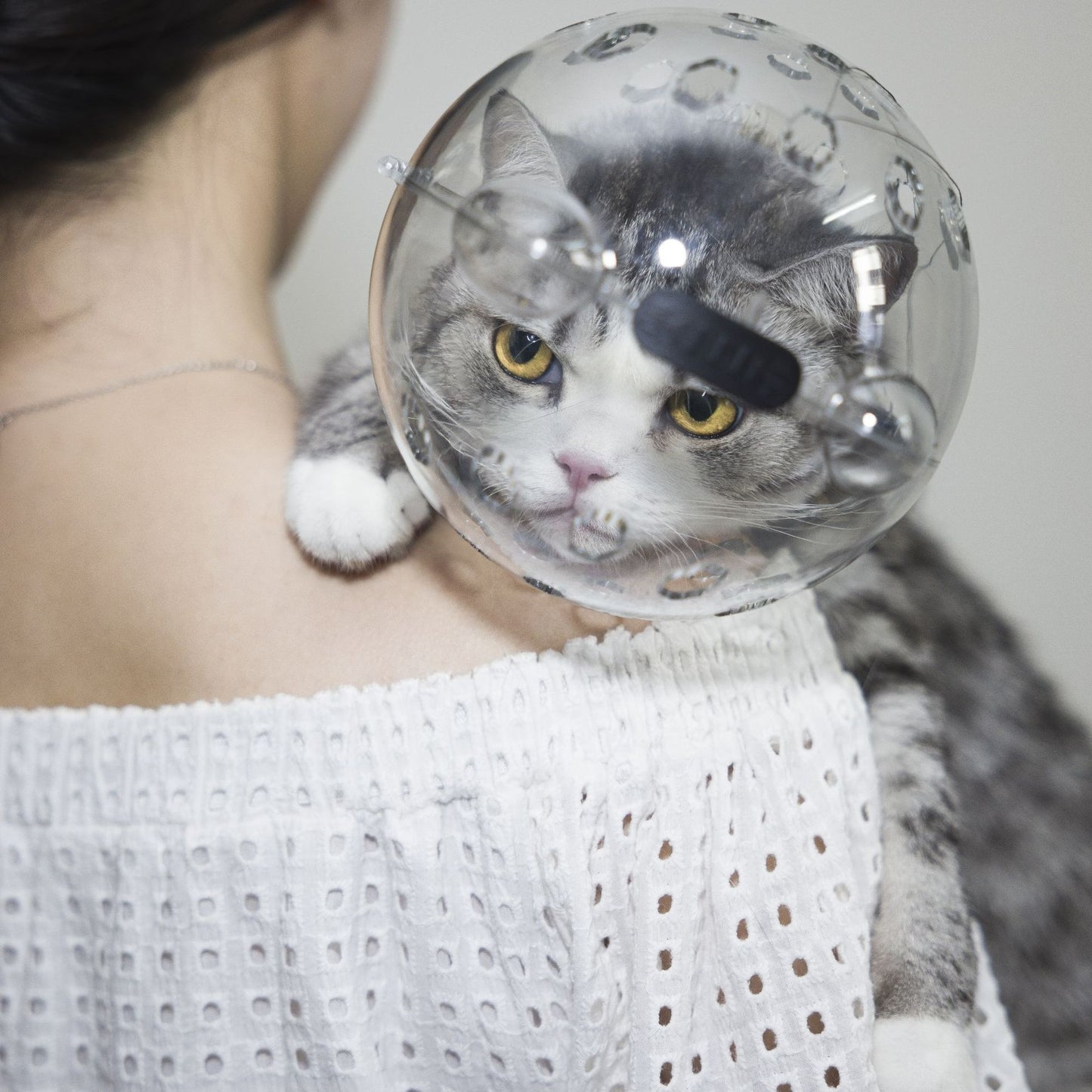 Funda para cabeza de gato, cobertura para baño, antimordeduras con collar blanco, artefacto antiarañazos y antilamidos para mascotas,