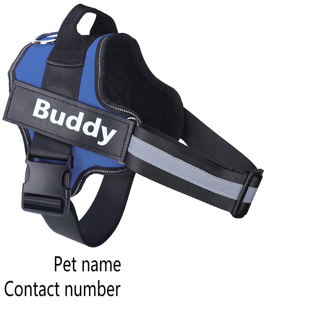 Arnés para perro personalizado, sin tirones, reflectante, transpirable, ajustable