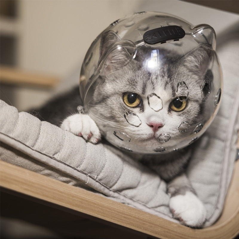 Funda para cabeza de gato, cobertura para baño, antimordeduras con collar blanco, artefacto antiarañazos y antilamidos para mascotas,