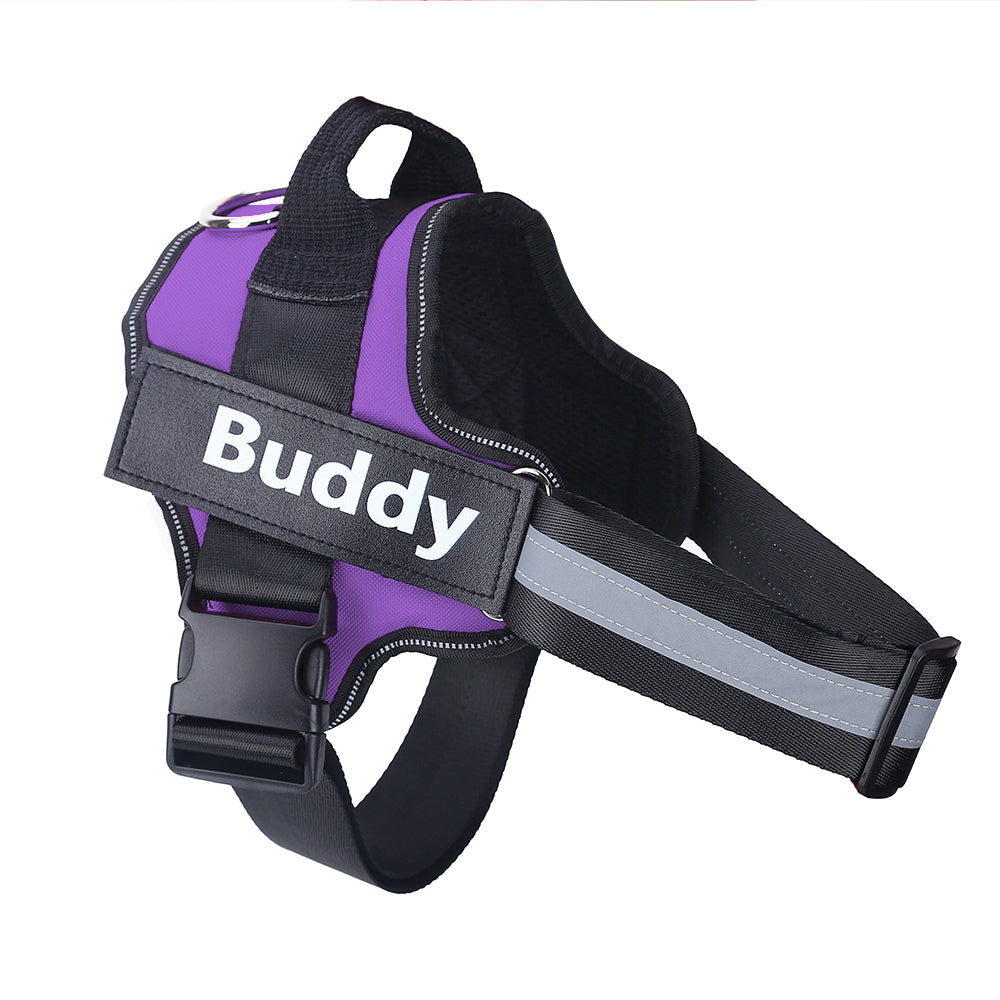 Arnés para perro personalizado, sin tirones, reflectante, transpirable, ajustable