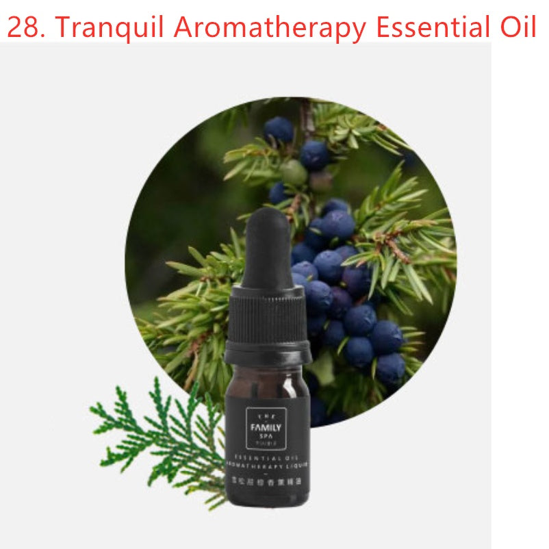 Set de Aromaterapia con Cristales – Aceites Esenciales + Cristales de Bienestar