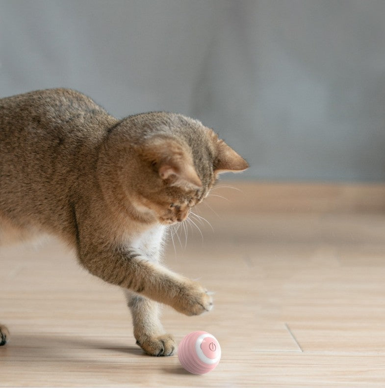 Bola rodante que rebota en movimiento automático, juguete elegante para Gato