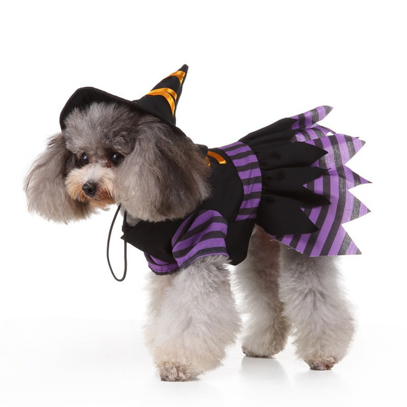 Ropa alternativa divertida para mascotas, disfraz de Halloween, brujita.