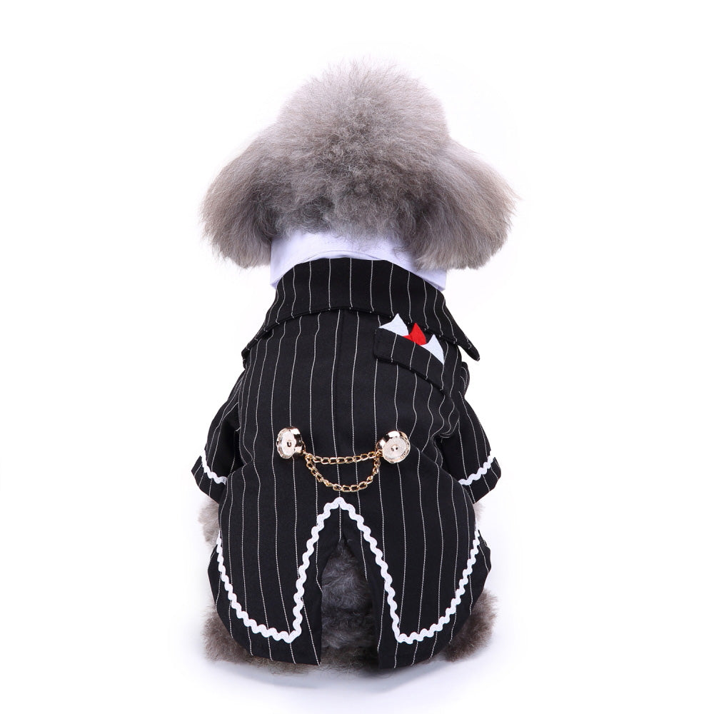 Traje para perro mascota