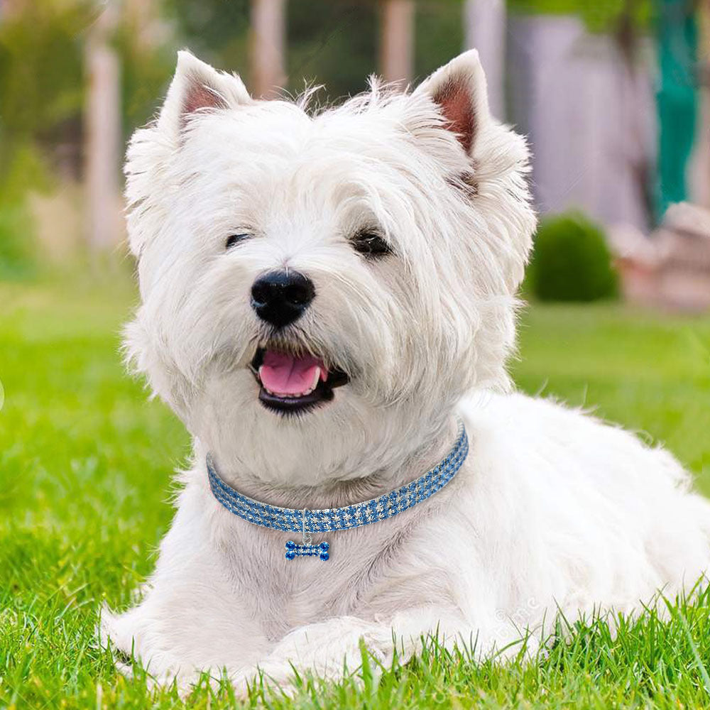 Collar de perro con cristales brillantes, correa para perros pequeños, medianos y gatos.