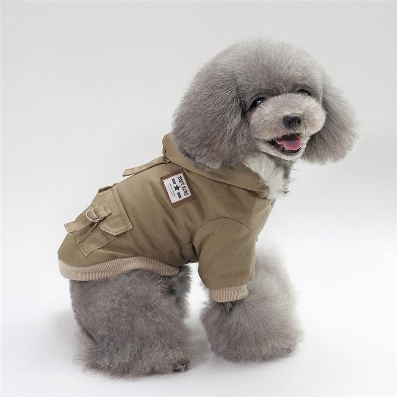 Abrigo para perro con gorra, algodón abrigado
