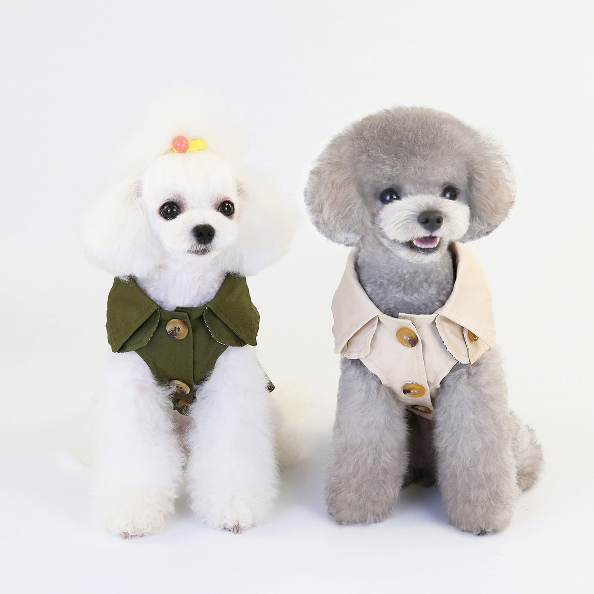 ropa de lluvia mascotas, gabardina elegante para tu perro
