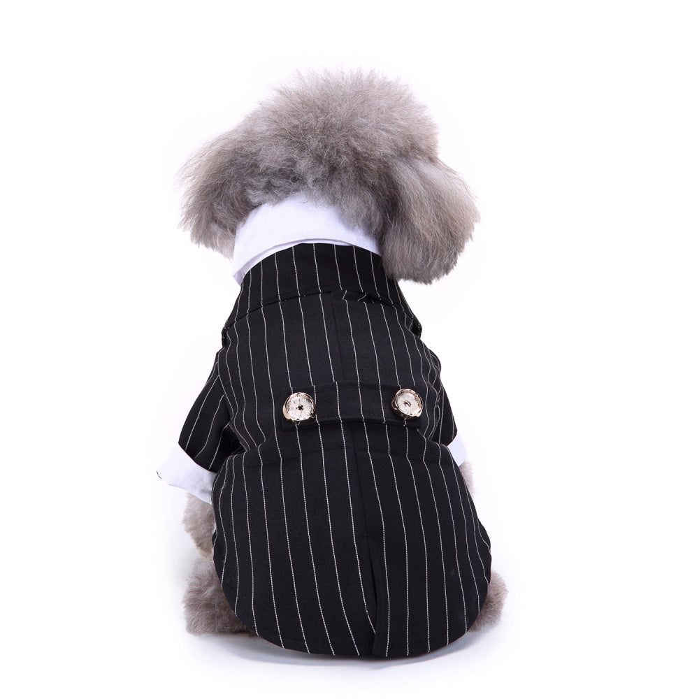 Traje para perro mascota
