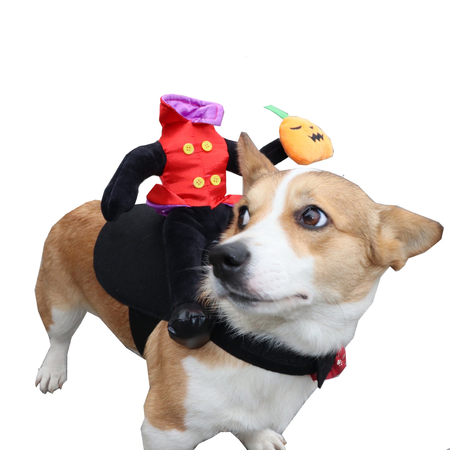 Ropa para perros y gatos de Halloween Disfraz para mascotas Divertido, disgraz hombre sin cabeza