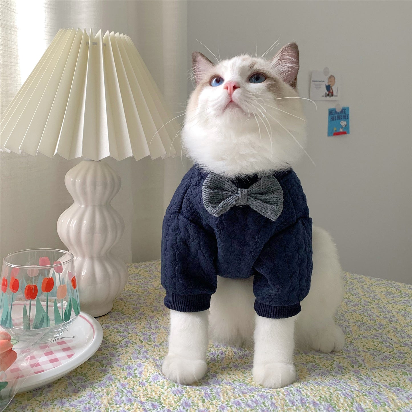 Ropa Casual Azul Oscuro para Mascotas – Abrigadora y Adorable 🐾💙