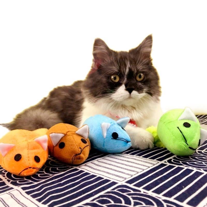 Juguete Ratón con Catnip para Gatos – Cola Larga, Interactivo y Súper Divertido 🐭🌿