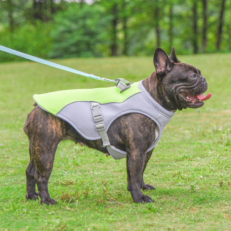 Chaleco Enfriador para Perros – Protección UV y Frescura Extrema, ropa refrescante perros