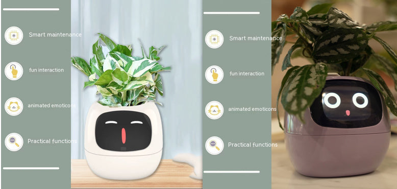 Maceta Inteligente Interactiva | Monitor de Planta con Sensores y Pantalla
