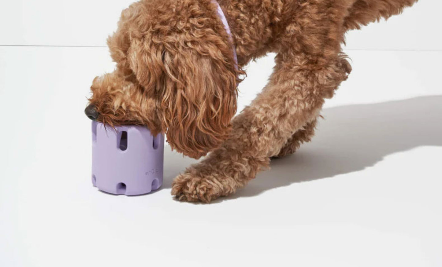 Juguete para perros que se puede sujetar a su collar, Taza divertida para  que tu mascota pueda morder y liberar su estrés, juguete de caucho natural No tóxico