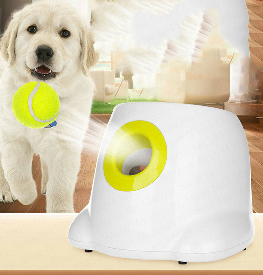 Lanzador automático de bolas  para perros, juguete interactivo para ejercitar a tu perro