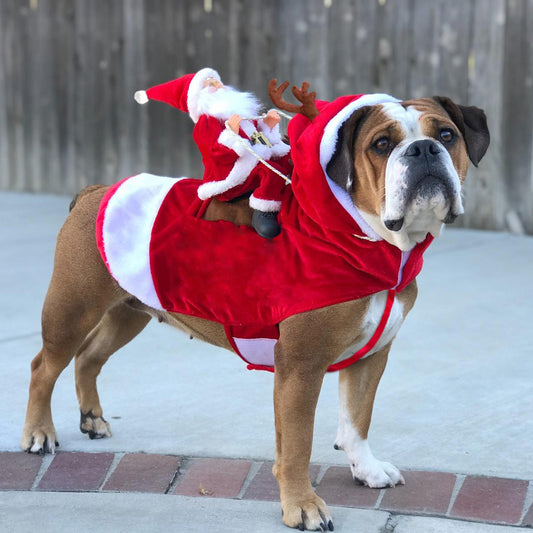 Ropa navideña para perros: Papá Noel montando un ciervo