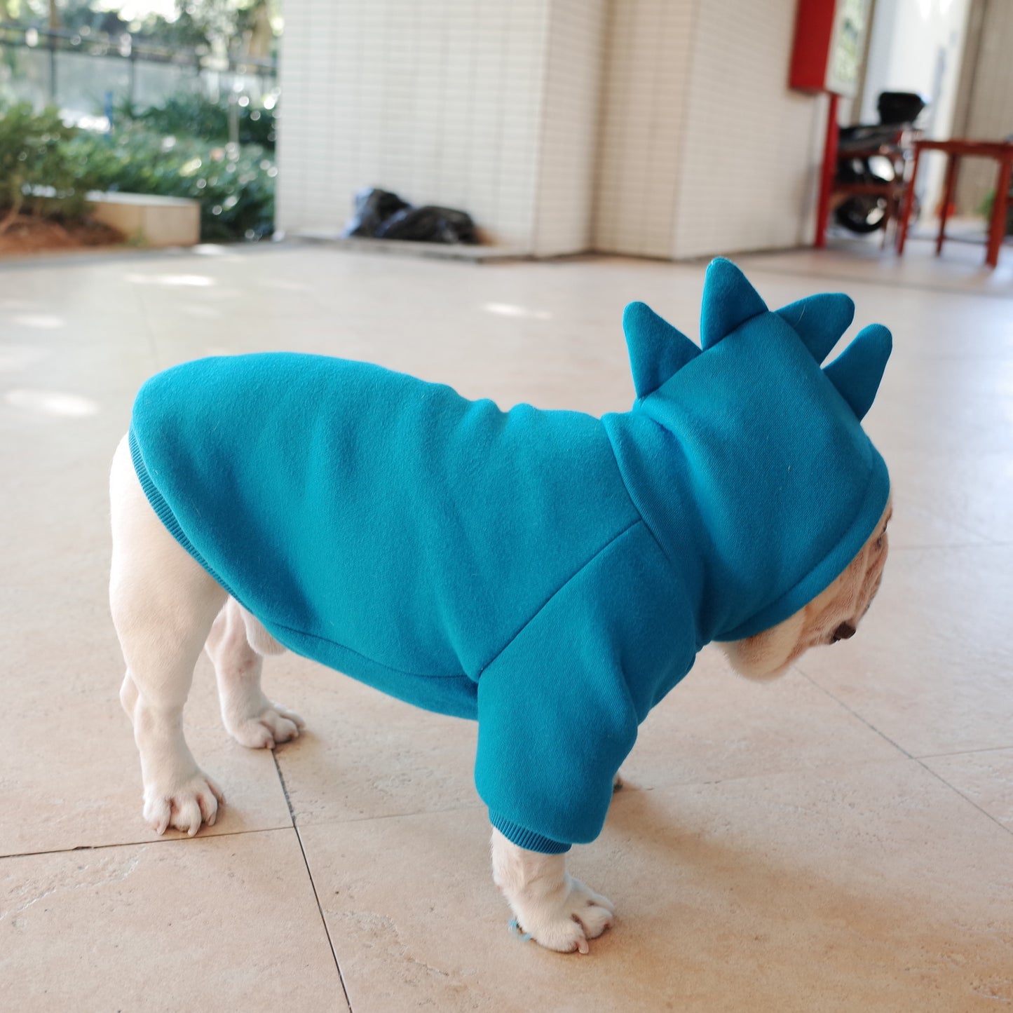 Ropa de Invierno para Perros y Gatos – Hoodie Sólido de Vellón