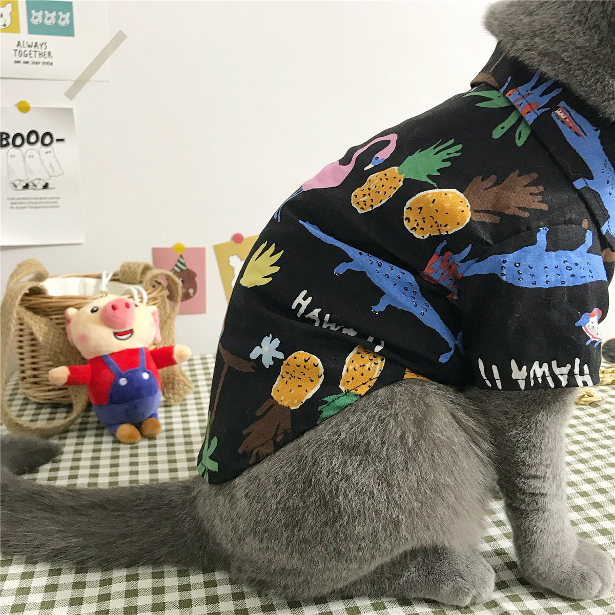 Traje costeño para gatos,  Camisa de Verano y sombrero, disfraz mascotas