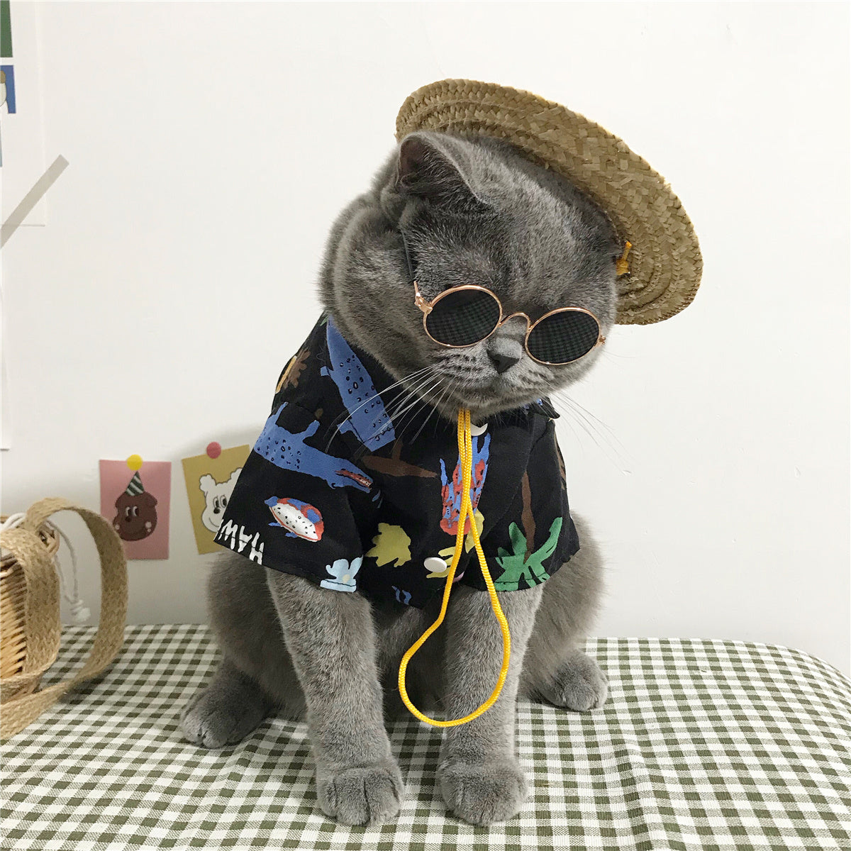 Traje costeño para gatos,  Camisa de Verano y sombrero, disfraz mascotas