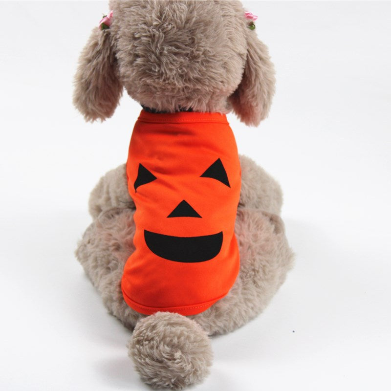 Ropa de calabaza para mascotas de Halloween, Ropa para abrigar a tu mascota!