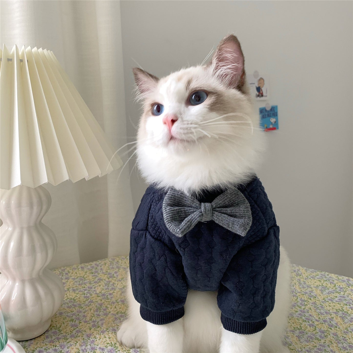 Ropa Casual Azul Oscuro para Mascotas – Abrigadora y Adorable 🐾💙