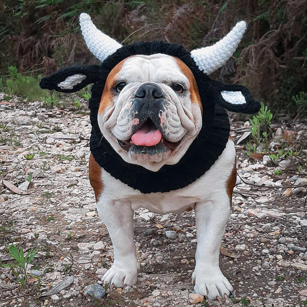 Windproof Halloween Knitted Dog Hat