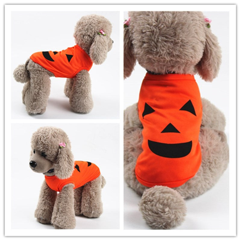 Ropa de calabaza para mascotas de Halloween, Ropa para abrigar a tu mascota!