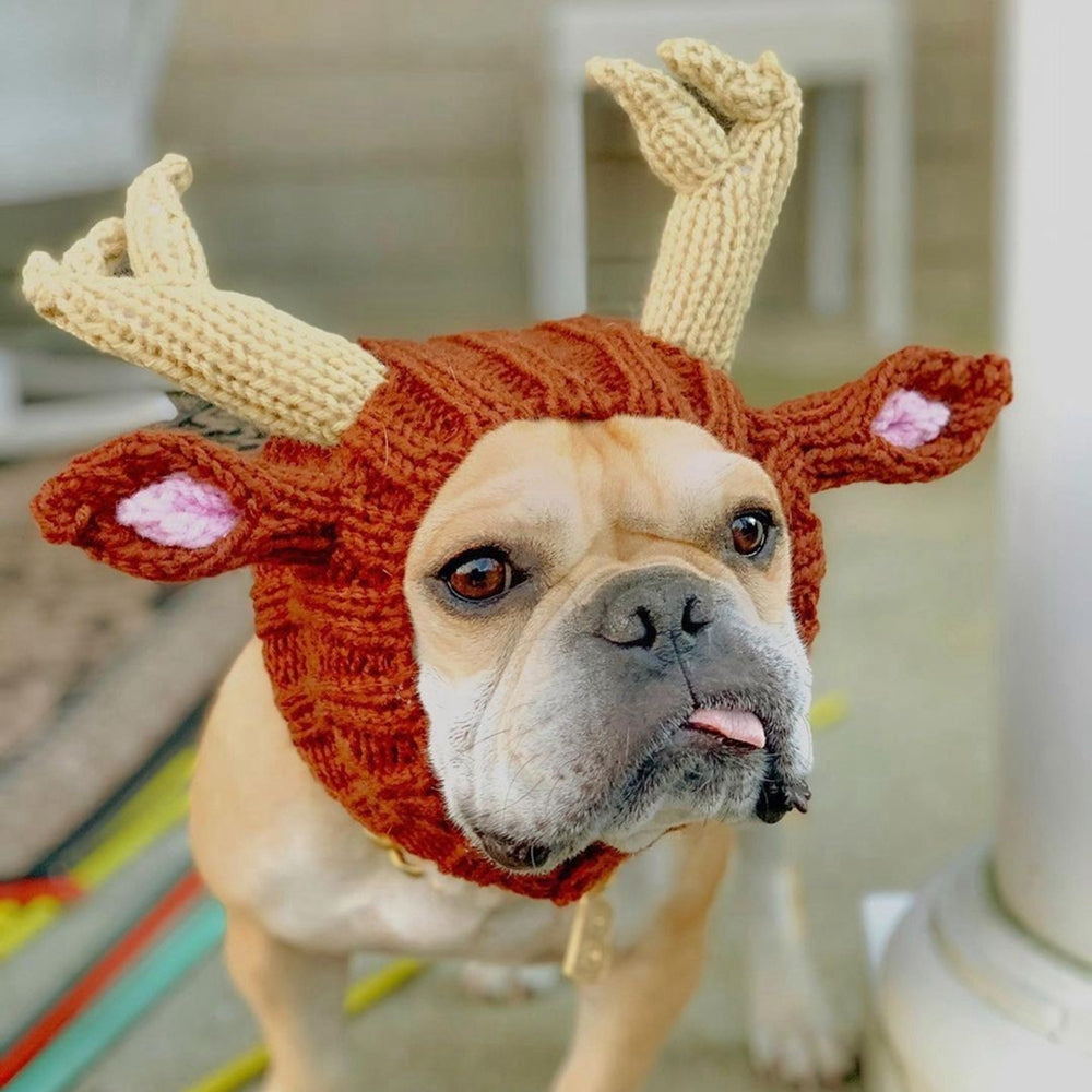 Windproof Halloween Knitted Dog Hat