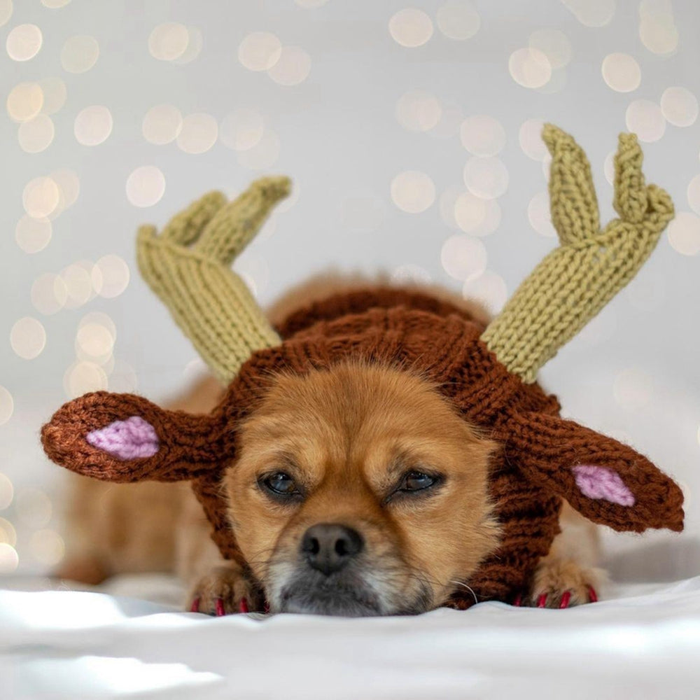 Windproof Halloween Knitted Dog Hat