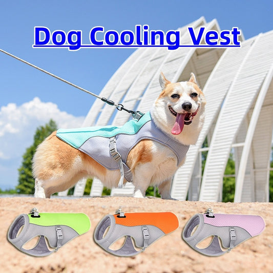 Chaleco Enfriador para Perros – Protección UV y Frescura Extrema, ropa refrescante perros