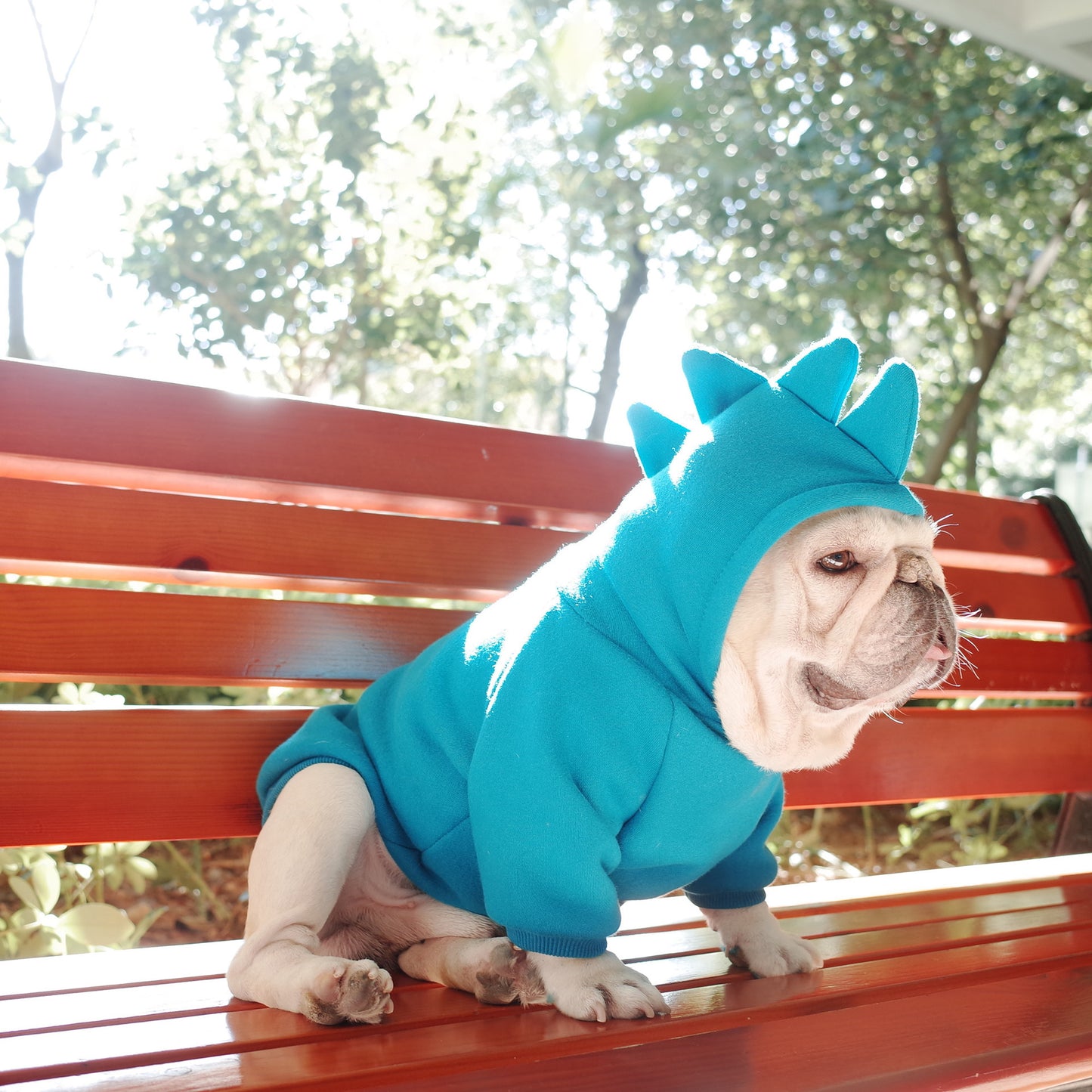 Ropa de Invierno para Perros y Gatos – Hoodie Sólido de Vellón
