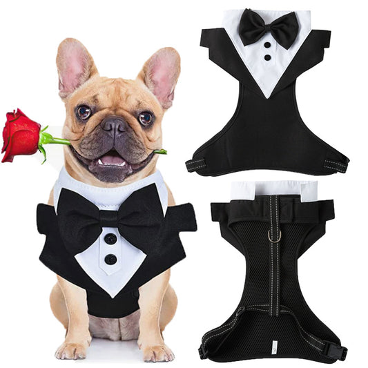 Traje de GALA para tu perro, Mascotas de fiesta con el hermoso traje tipo smoking con correa de sujeción y correa de mano