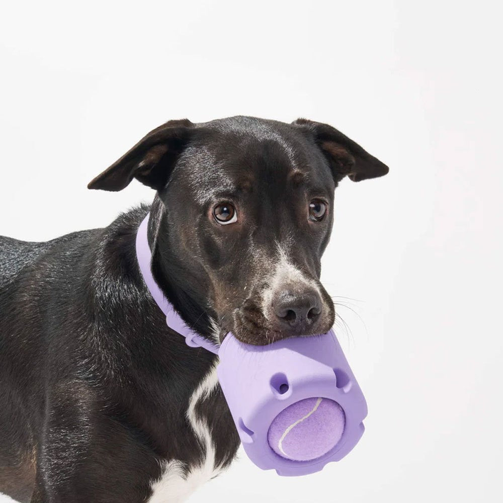 Juguete para perros que se puede sujetar a su collar, Taza divertida para  que tu mascota pueda morder y liberar su estrés, juguete de caucho natural No tóxico